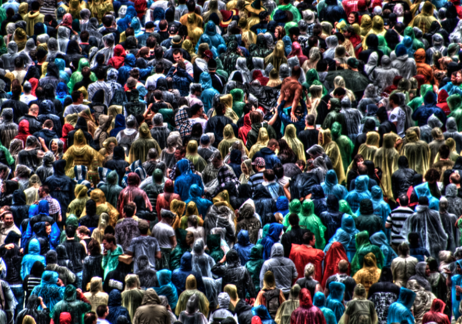 Onward and Upward: 50,000 visitors and&nbsp;counting!