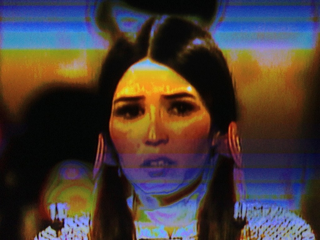 Absent?: Native Americans and&nbsp;Standards