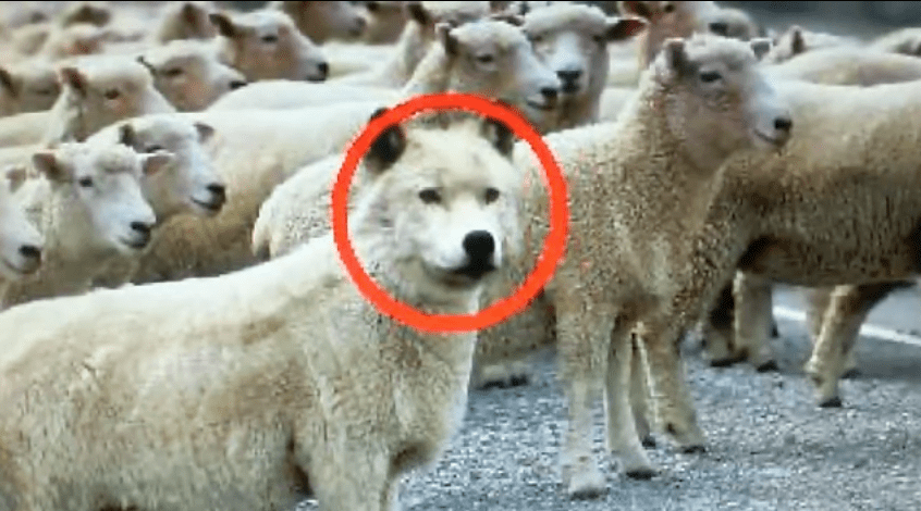 Screen Shot 2015-03-17 at 11.00.12 AM