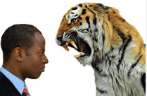 Screen Shot 2015-05-27 at 12.03.02 PM