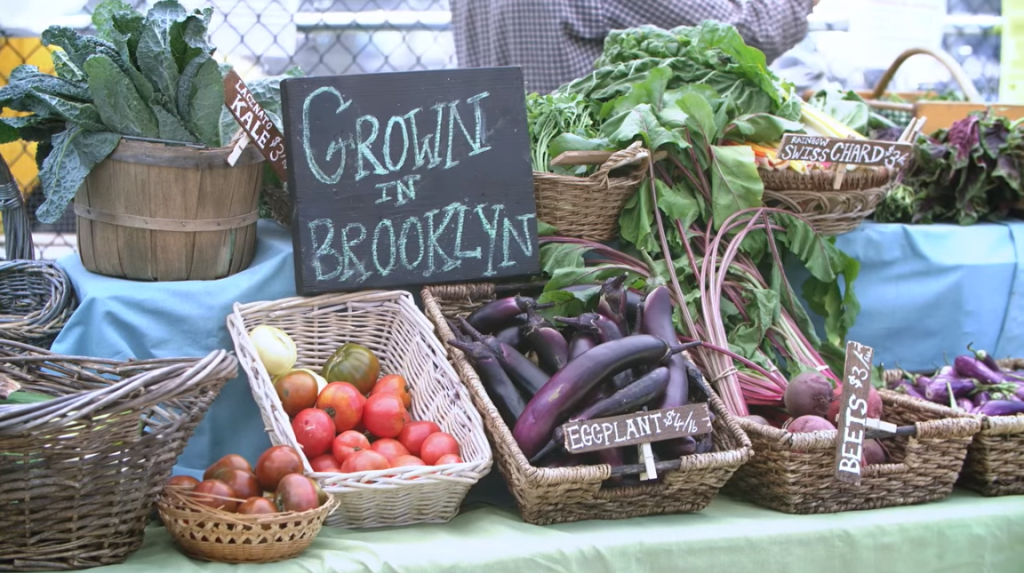 Growing things and punditing: STEM&nbsp;Bits