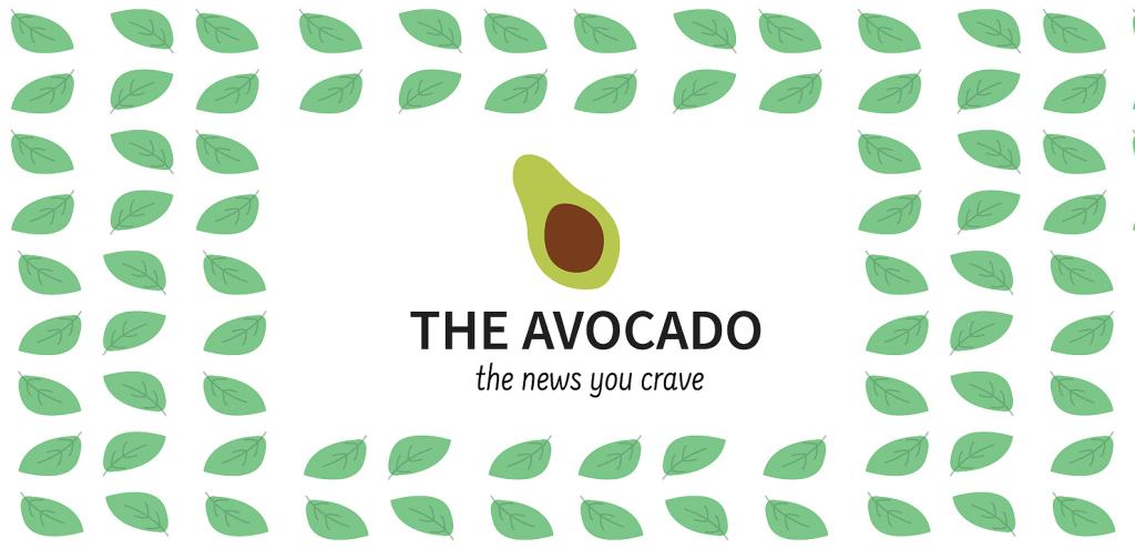 School Choice Spread in The Avocado